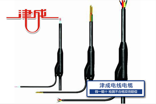分支電纜1.png