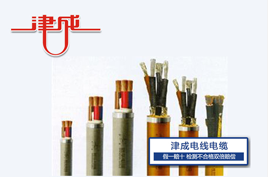 特種電纜.png