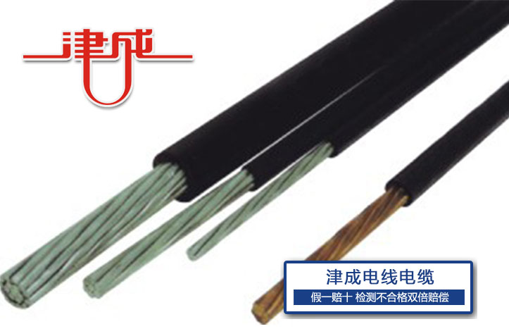 架空絕緣電纜.jpg