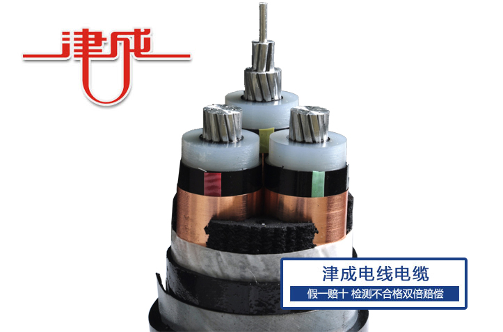 高壓鋁電纜2.jpg