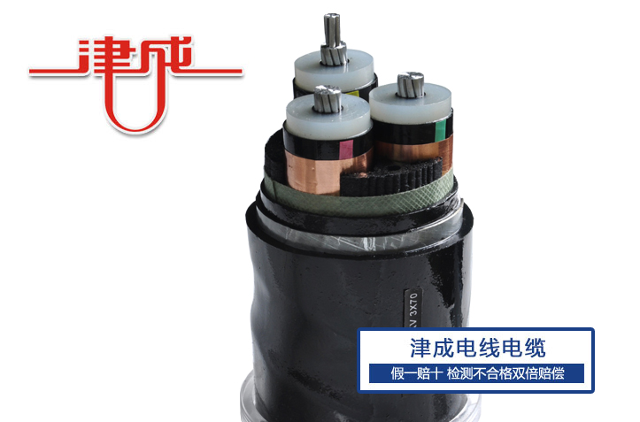 高壓鋁電纜4.jpg